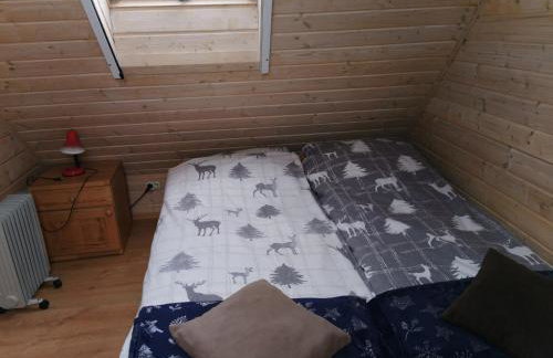 Domki Borowiackie nad brzegiem jeziora - Foto 44