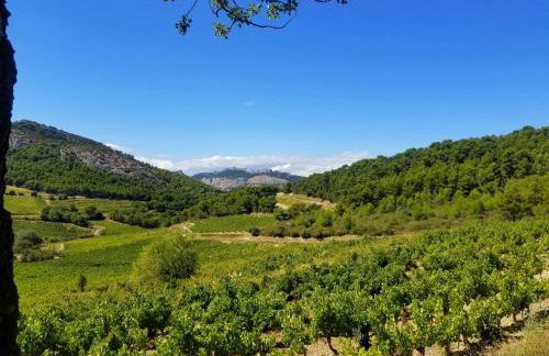 La maison du Barroux avec vue, calme et piscine - Foto 43