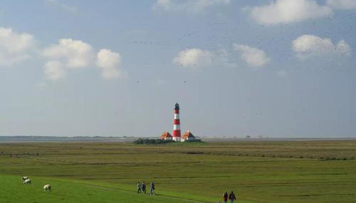 Schäferhof Dircks Fewo 4 - Foto 4