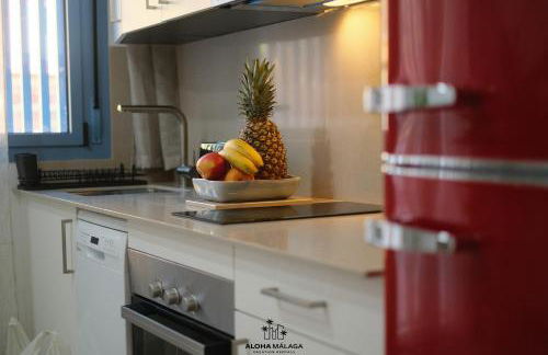 Bolivia Collection Playa Pedregalejo By Aloha Málaga - Foto 2