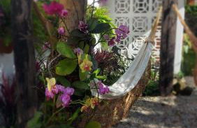 Casa da XV - Iguape, S.P - Foto 28