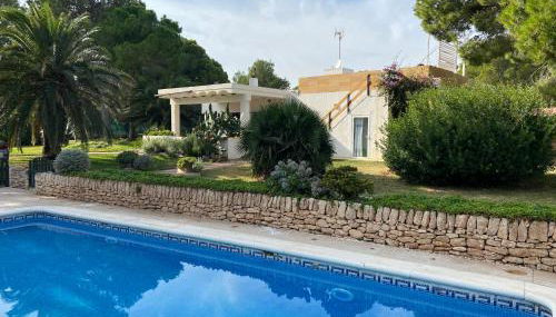 La Mandioca - Foto 3