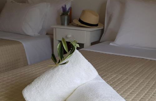 Corfu Olivia Apartments - Foto 11