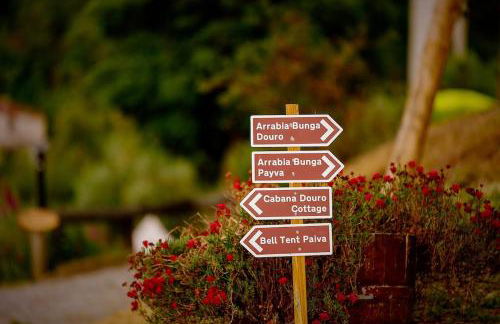 Arrabia Bunga Payva - Foto 27