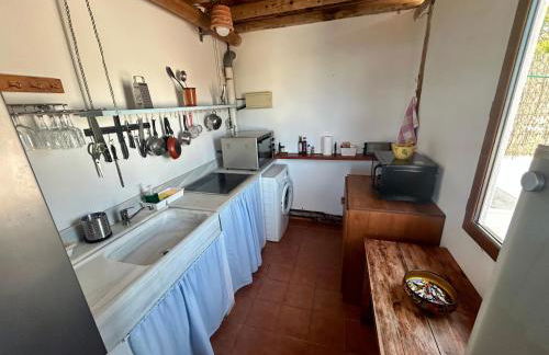 La Washingtonia - Foto 47