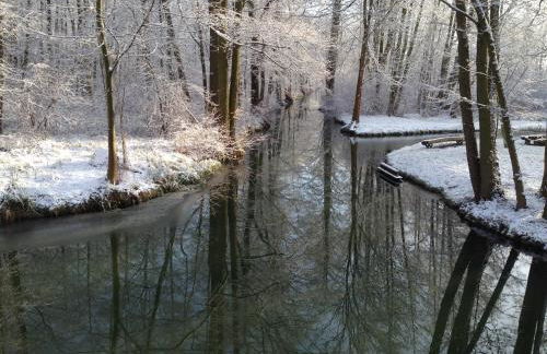 Ferienapartments Spreewaldwiesen - Foto 58