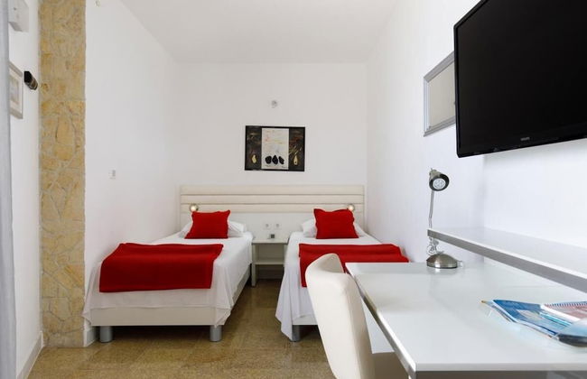 Seagull - Ark Beach Studio - Foto 2