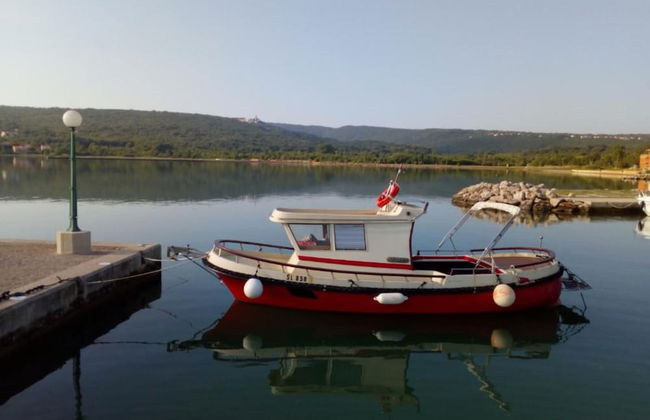 Rustic Villa Rudine - Photo 23