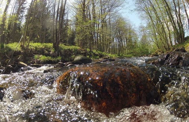 Doppelhaushaelfte in Hasselfelde - Foto 27