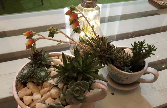 Casa Fiore - 2 Bed House 10 Mins Walk to Centre - Photo 49