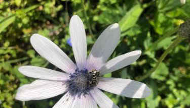 House CresWien 01 Martinšćica - Foto 4