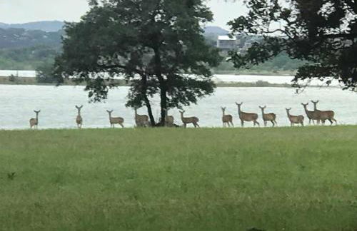 Paradise at Canyon Lake - Foto 32