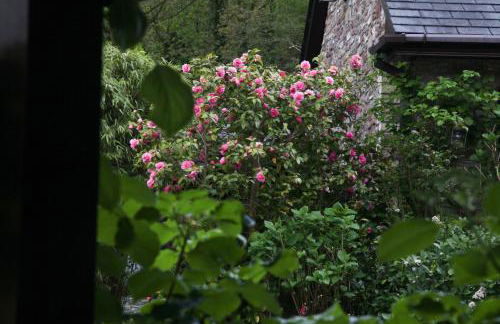 Ty Carreg Fach Staycation Cottage Cardiff - Foto 12