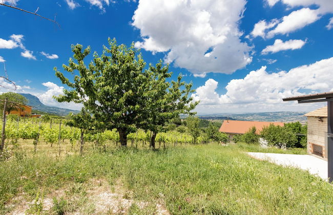 Agriturismo in montagna in Irpinia - Foto 23