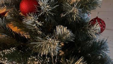 Osada California - Foto 3