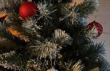 Osada California - Foto 3