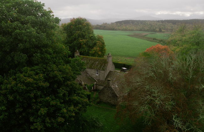 The Dell of Abernethy - Photo 17