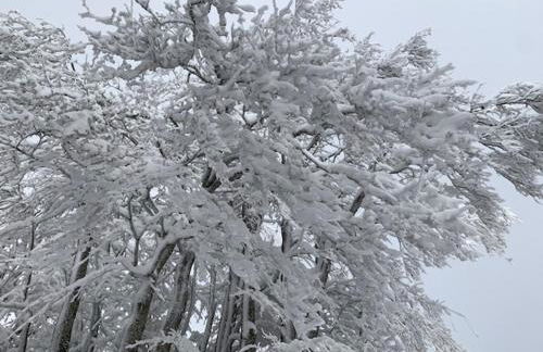 Le Case Nel Bosco Terminillo - Foto 12