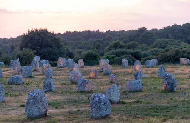 Thalazur Carnac - Résidence - Foto 48