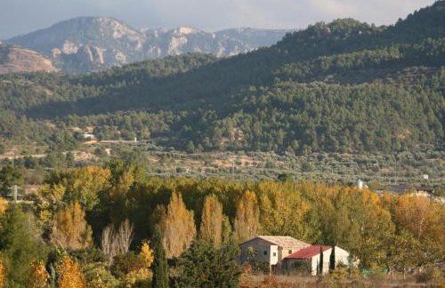 Maset del Riu - Foto 11