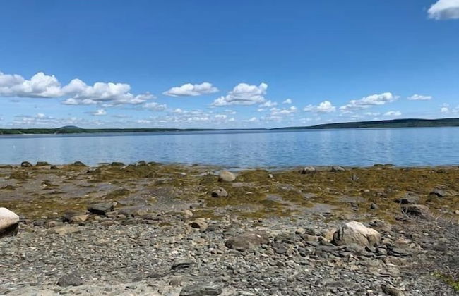 Mabel's Point - Brooklin - Photo 33