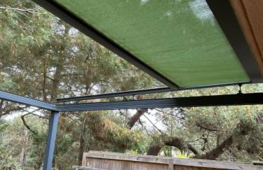 T1bis dans les dunes du Cap Ferret - Foto 14