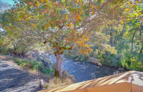 Riverfront Relaxation Secluded Jacksonville Home - Foto 24