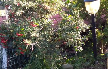 Casa Lilly - Foto 46