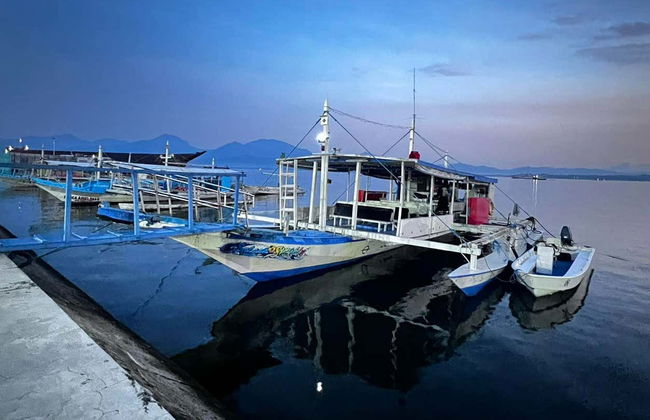 Nado con tiburones ballena en Puerto Princesa - Foto 6