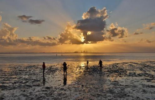 FeWo Vißer‘s Landblick - Foto 14