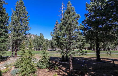 Gray Stone Condo #2110 - Photo 51