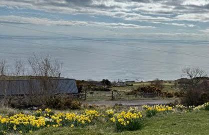 The Stroops - Foto 2