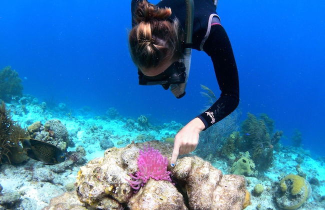 Kamezí Boutique Villas - Foto 76