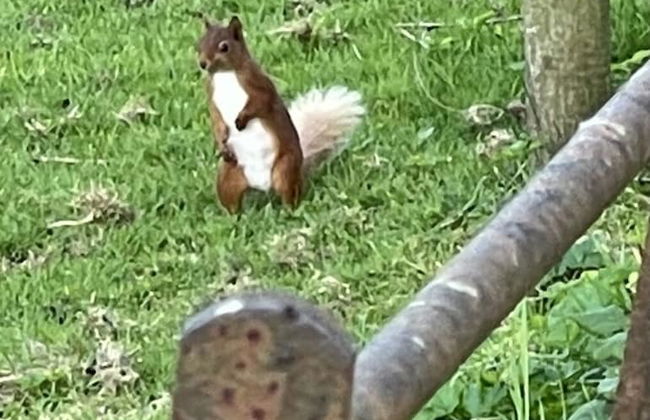 1-bed Luxury Studio Apartment Cockermouth - Foto 16