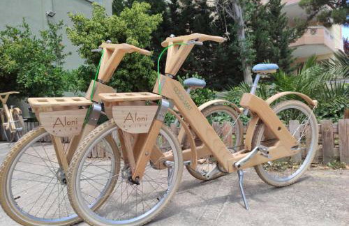 Aloni Ekies - Foto 19