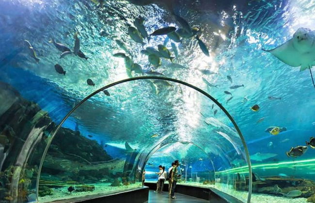 Modern Oriental Experience MNL - Foto 6