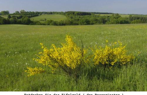 Ferienwohnung Gross A - Foto 17