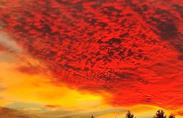 Haus Eschenberg - Foto 9