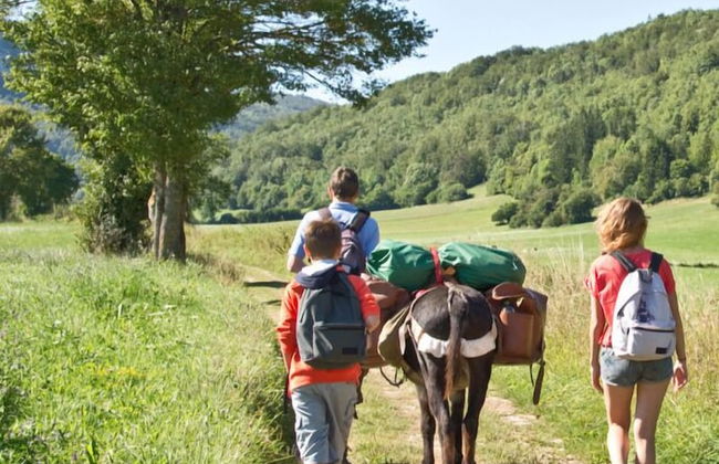 Alberguiere - Foto 17