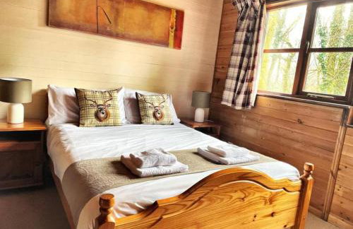 Shrew Lodge-woodland Lodges-Hot Tub-Pembrokeshire-Tenby - Foto 12