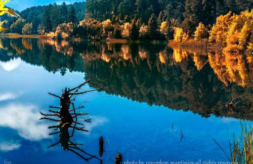 Eleni Country Cottage 2 - Foto 23