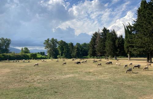 Maison pieds dans l eau avec piscine et clim - Foto 36