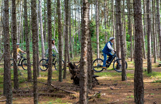 Sunparks Kempense Meren - Foto 30