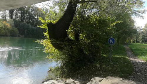 Mariposa Apartamento - Photo 2