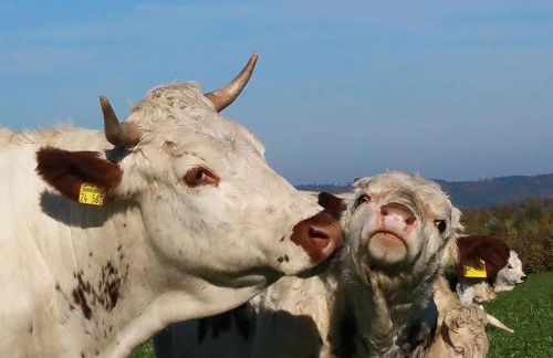 Betzemühle 2 Bauernhof - Foto 14