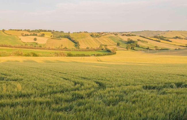 Inviting Holiday Home in San Costanzo With Swimming Pool - Foto 59