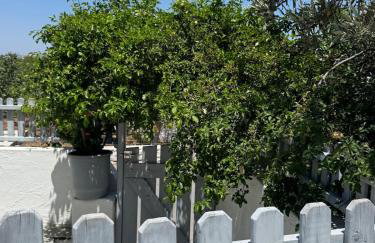 Giasemi Island House - Foto 20