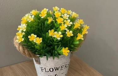 Nibu Appartamenti - Appartamento centrale comodo a tutto, anche a Villa Chiara - Foto 29