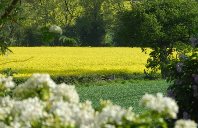 Comfy 4m -bed Bell Tent With Great Views - Foto 15