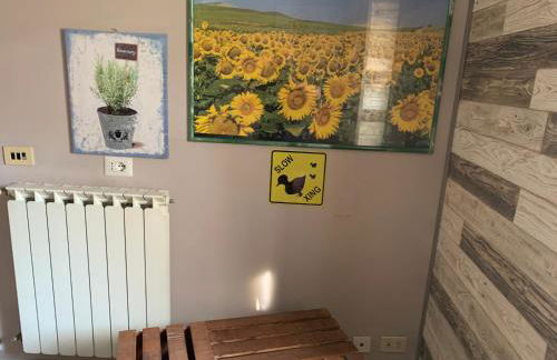 Casale Ugo e Letizia - Foto 10